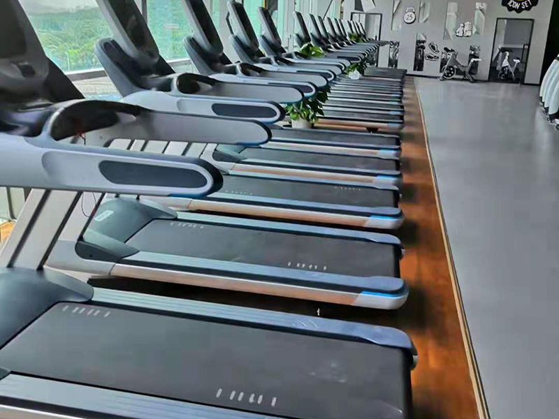 Japan Gym Equipment - Cardio and Strength Training Area