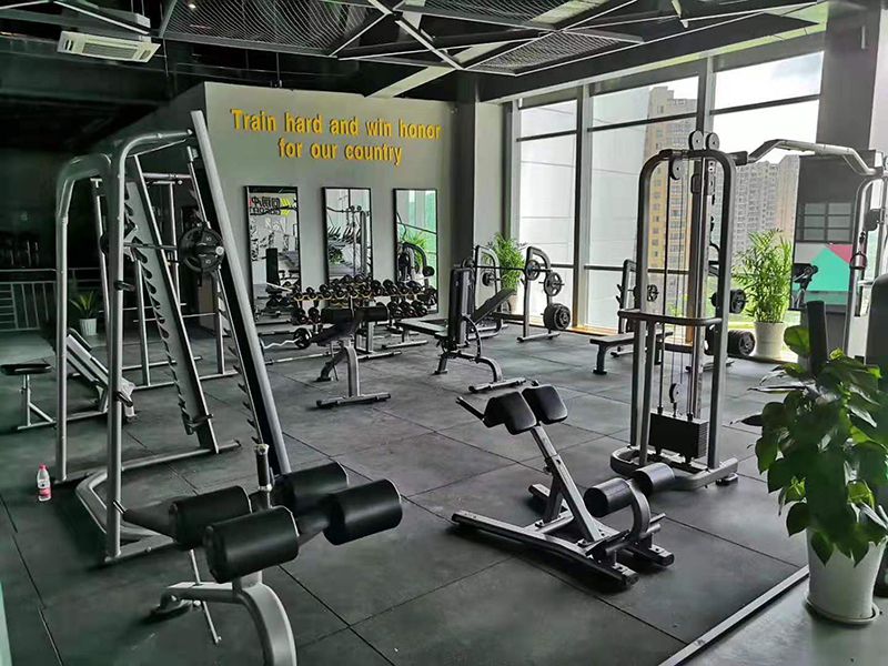 Japan Professional Weight Training Equipment