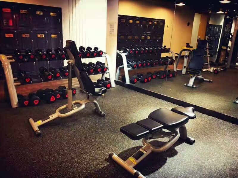 Taiwan Professional Weight Training Equipment