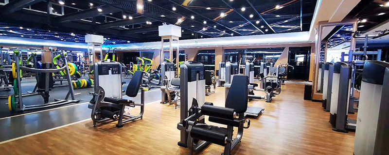 Philippines Professional Weight Training Equipment