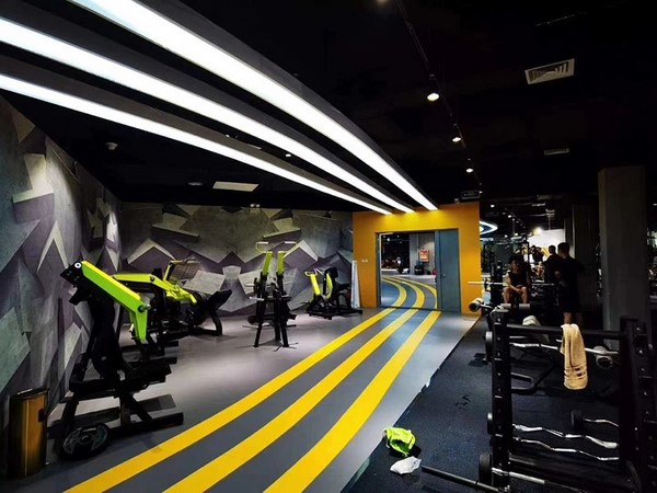 Thailand Gym Equipment - Cardio and Strength Training Area