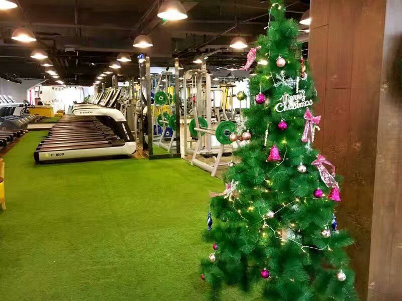 Taiwan Modern Gym Interior Design