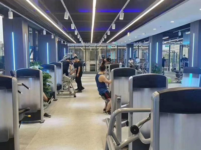 Korea Hotel Gym Professional Weight Training Equipment
