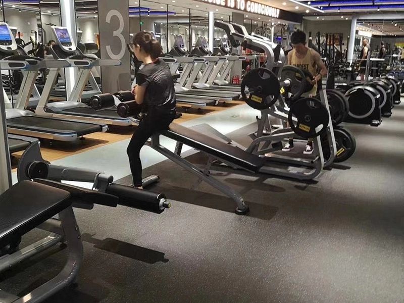 Vietnam Gym Equipment - Cardio and Strength Training Area
