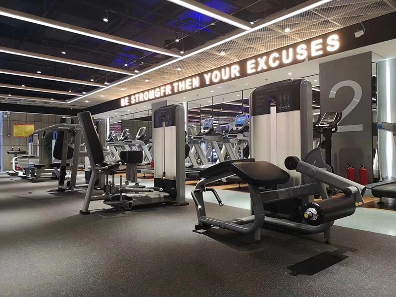 Vietnam Professional Weight Training Equipment