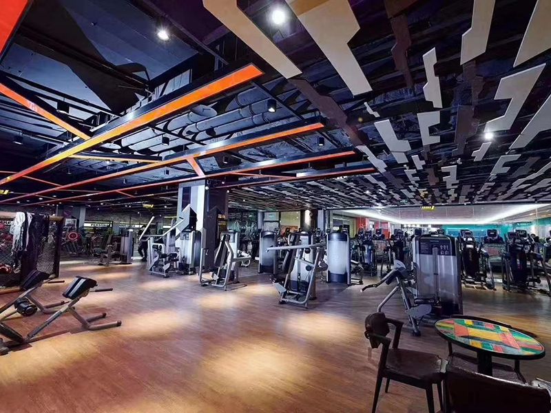 Algeria Gym Equipment - Cardio and Strength Training Area