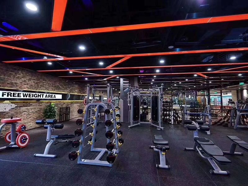 Algeria Professional Weight Training Equipment