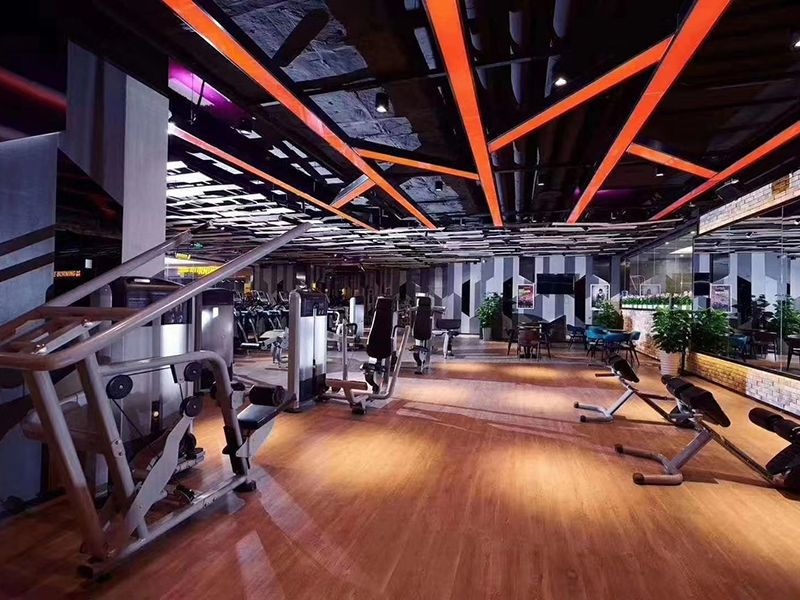 Algeria Professional Weight Training Equipment