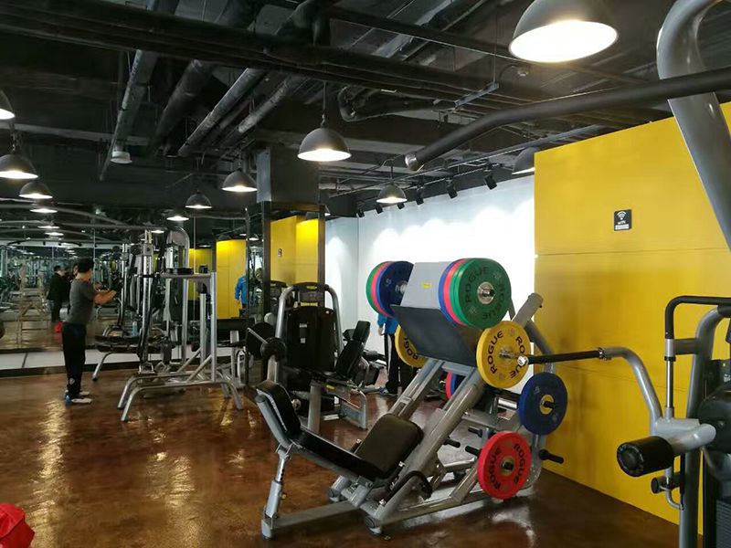 Taiwan Strength Training Equipment Setup